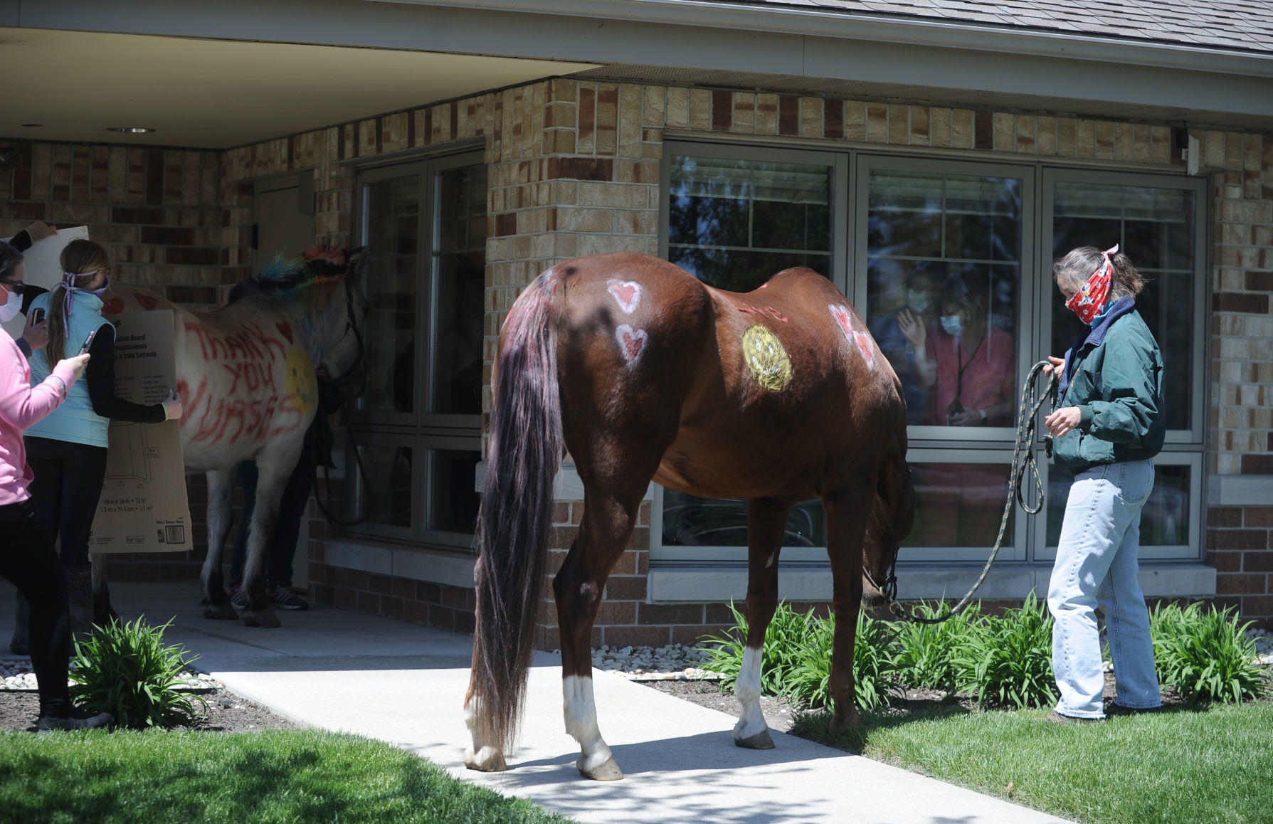 HORSES AT NURSING HOME